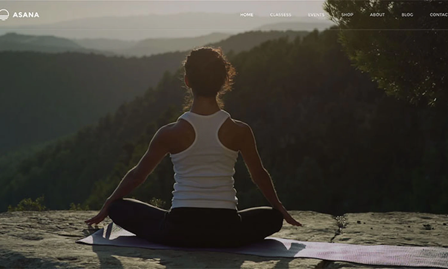 http://themeforest.net/item/asana-sport-and-yoga-wordpress-theme/11465027?ref=admiretheweb
