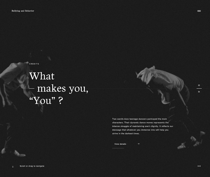 Bullying and Behaviour