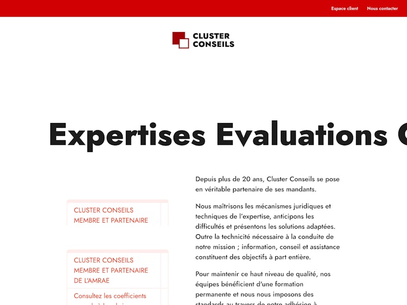 Cluster Conseils