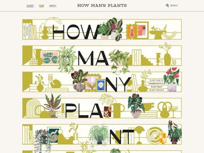 How Many Plants