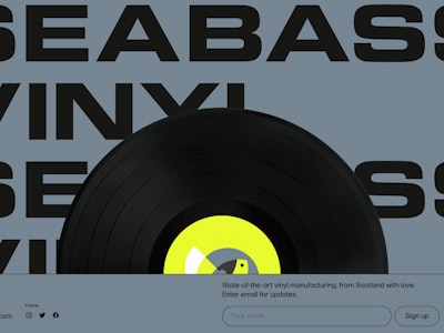 Seabass Vinyl